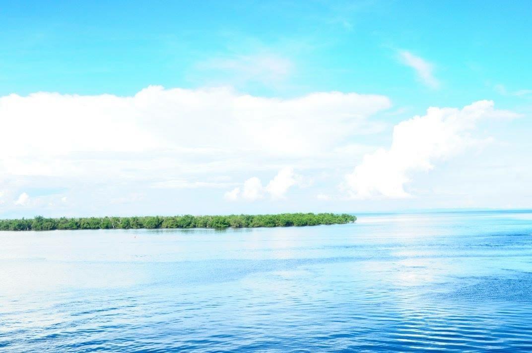 Palompon Lodge Экстерьер фото